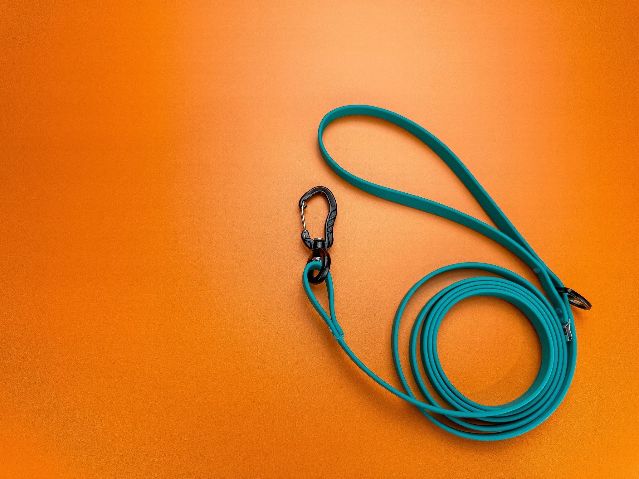 Biothane Leash - Taiga