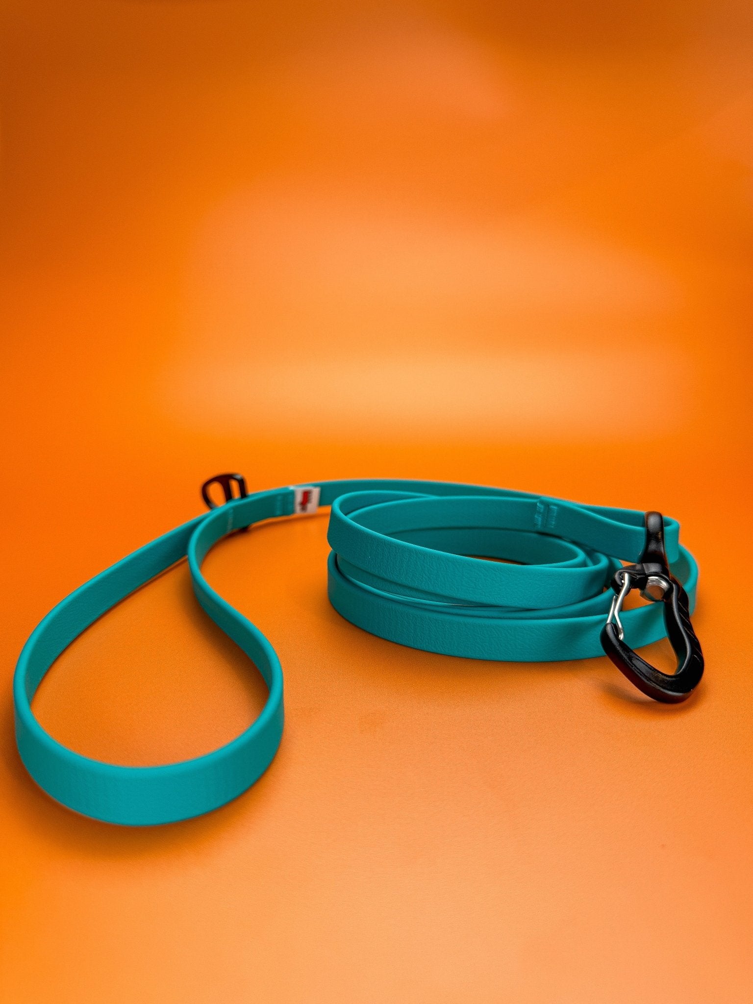 Biothane Leash - Taiga