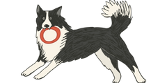 A cartoon-style black and white dog playfully stands with its front legs bent and tail up, holding a red and white ring toy in its mouth.
