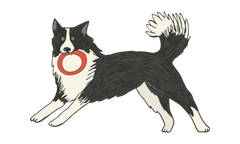 A cartoon-style black and white dog playfully stands with its front legs bent and tail up, holding a red and white ring toy in its mouth.