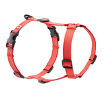 Biothane Harness - Taiga
