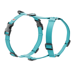 Biothane Harness - Taiga