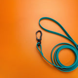 Biothane Leash - Taiga
