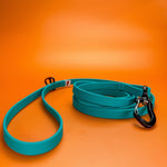 Biothane Leash - Taiga