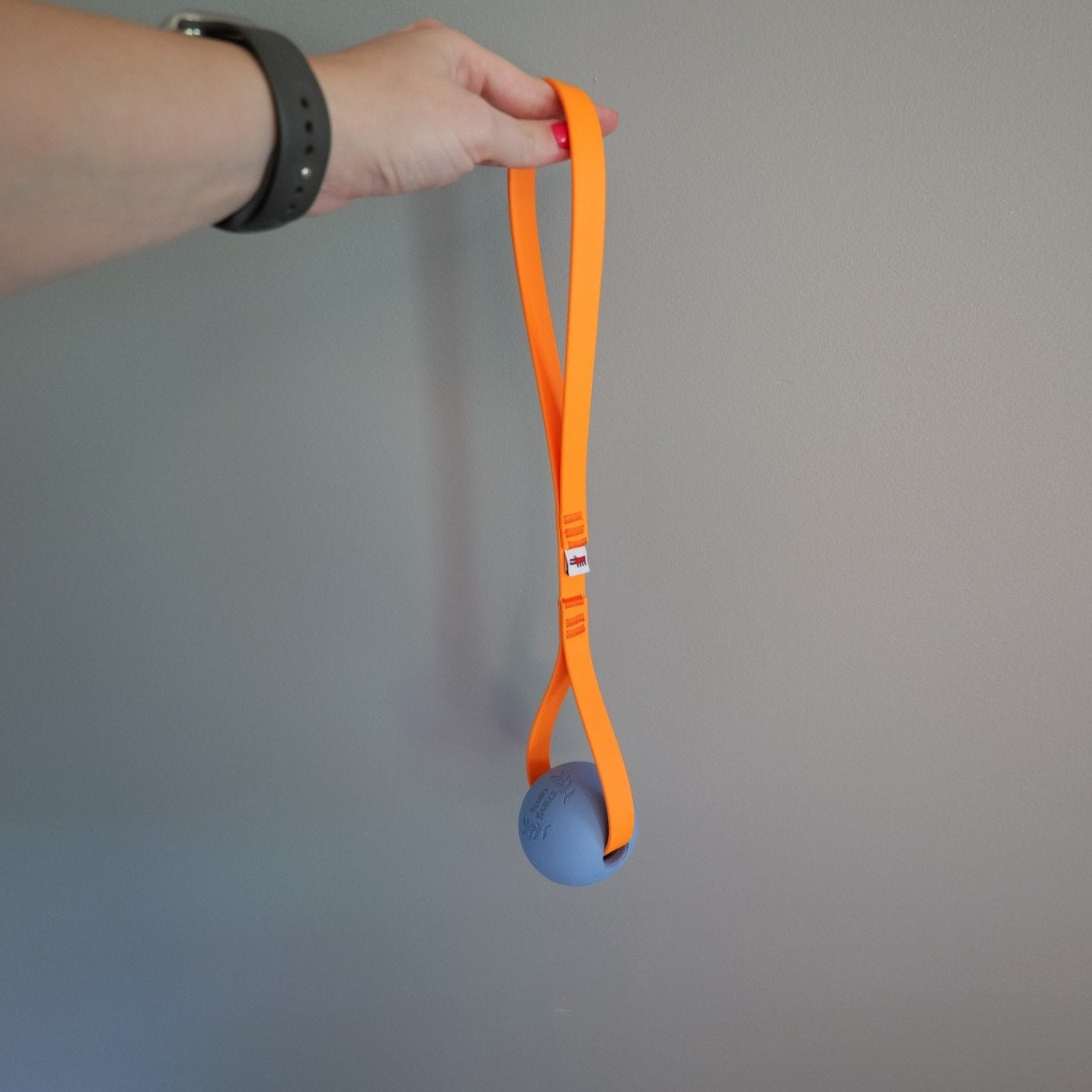 Harry Barker Fetch Ball - Taiga