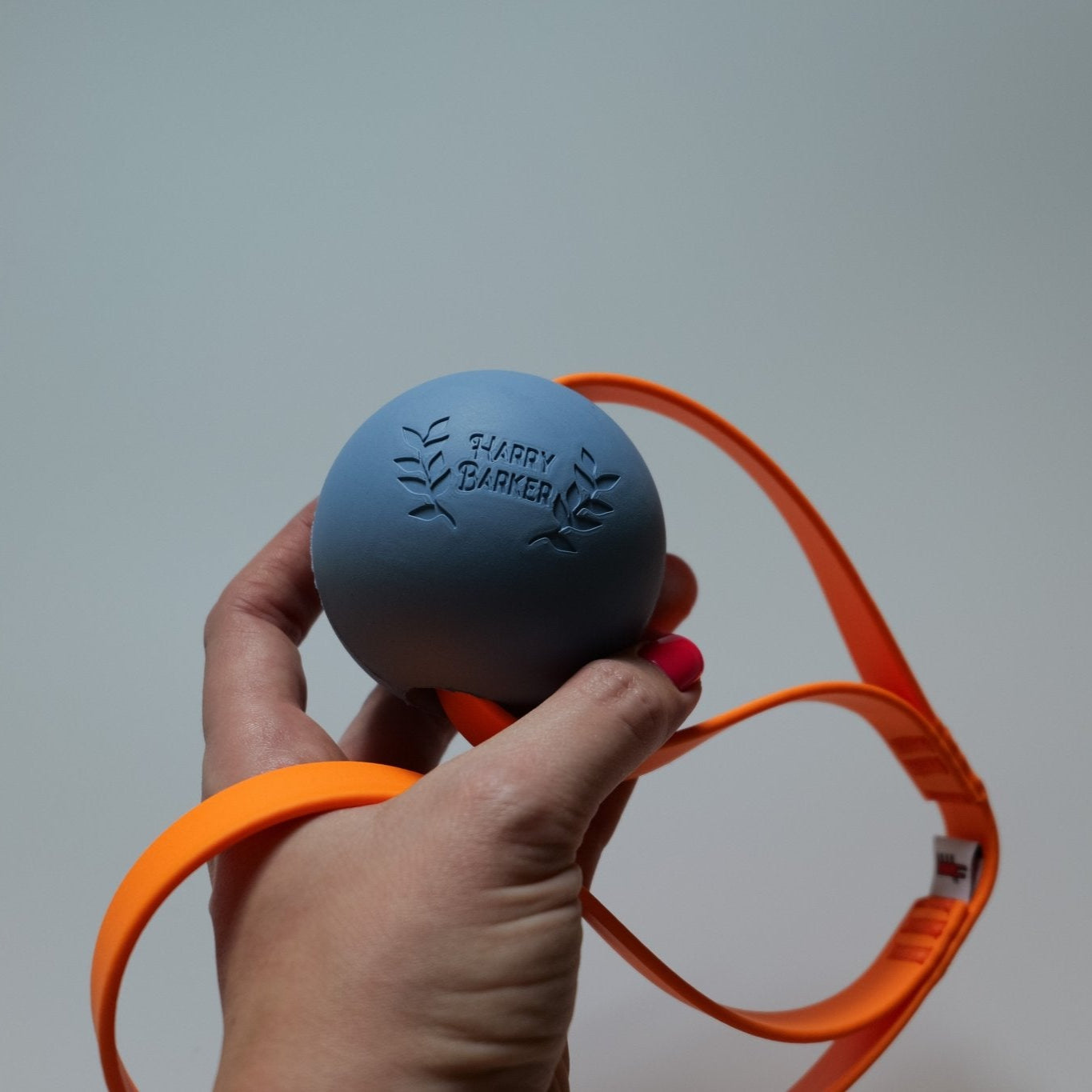 Harry Barker Fetch Ball - Taiga