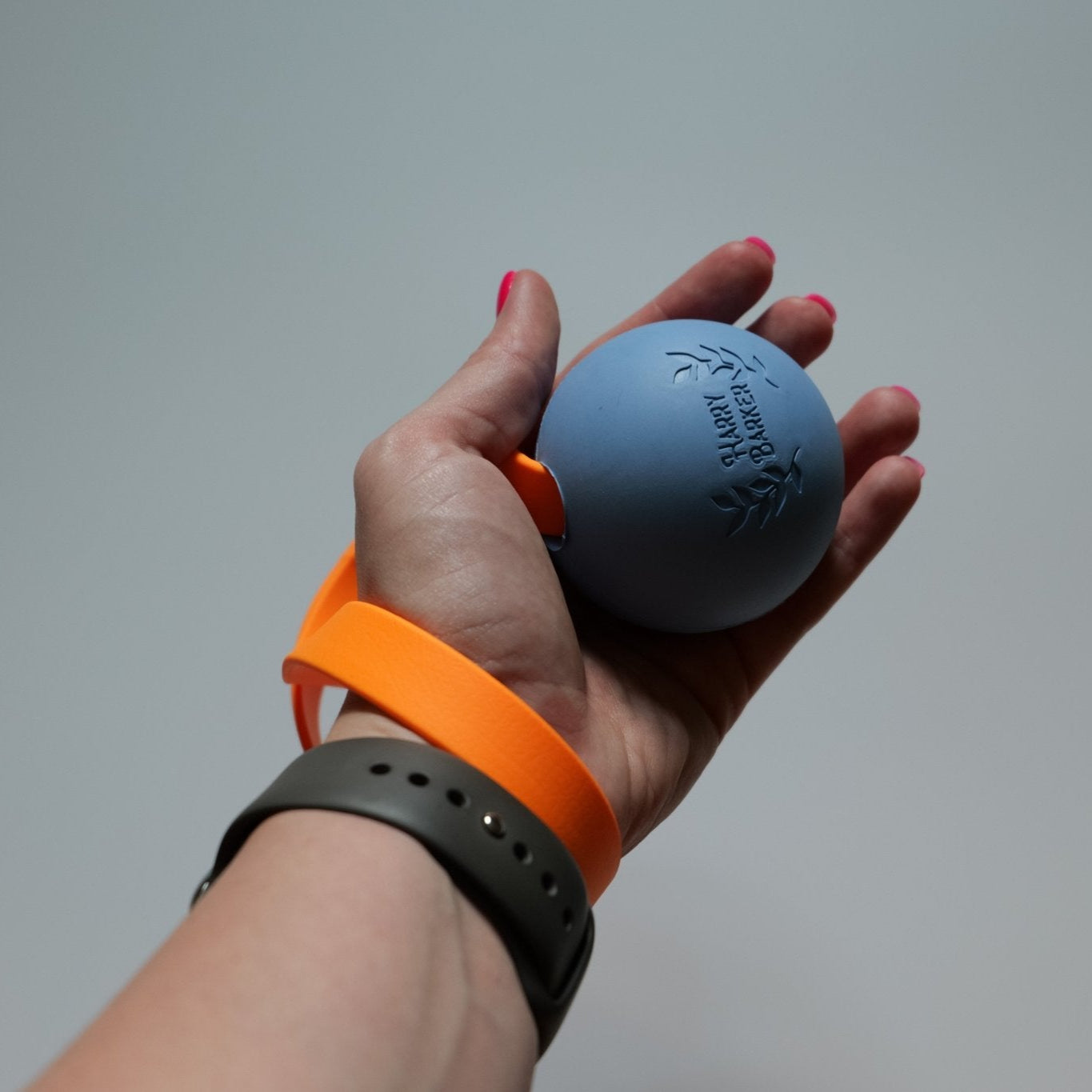 Harry Barker Fetch Ball - Taiga