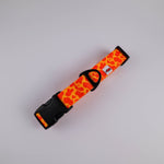 Patterned Collar – Neon Orange - Taiga