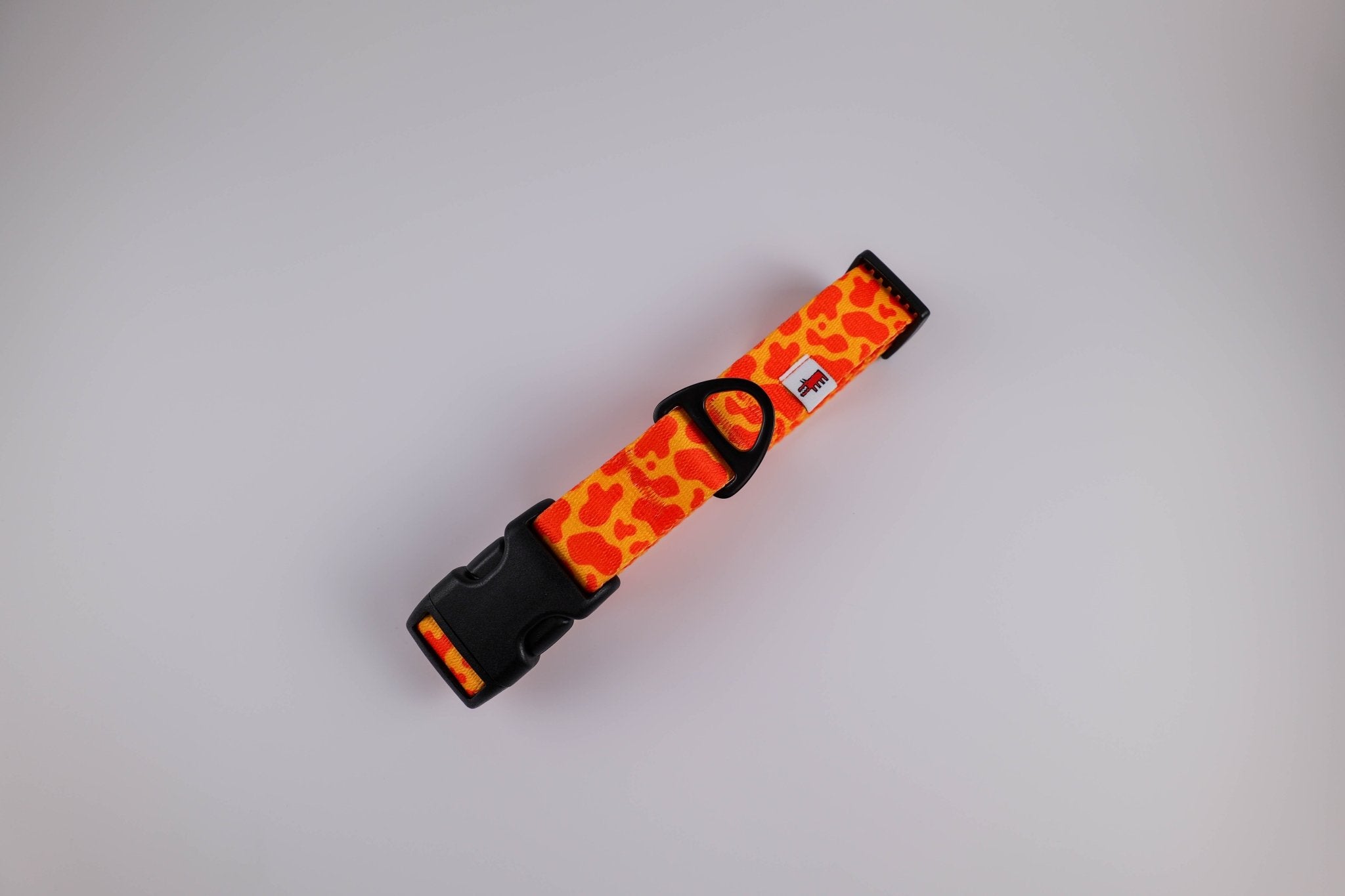 Patterned Collar – Neon Orange - Taiga