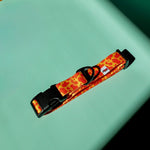 Patterned Collar – Neon Orange - Taiga