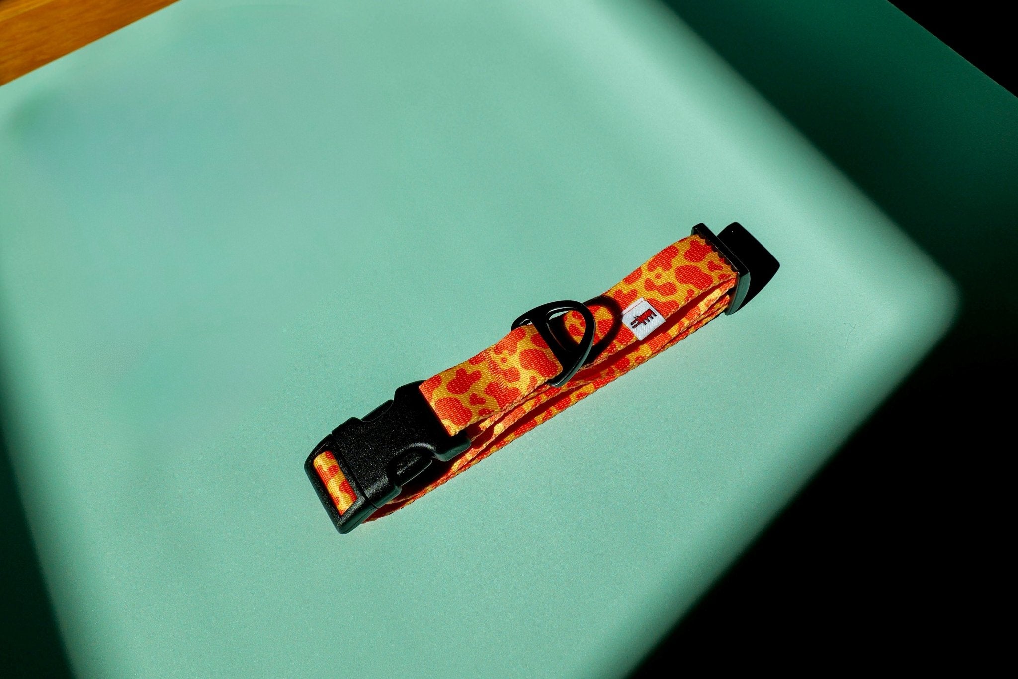 Patterned Collar – Neon Orange - Taiga