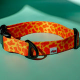 Patterned Collar – Neon Orange - Taiga