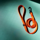 Patterned Leash – Neon Orange - Taiga