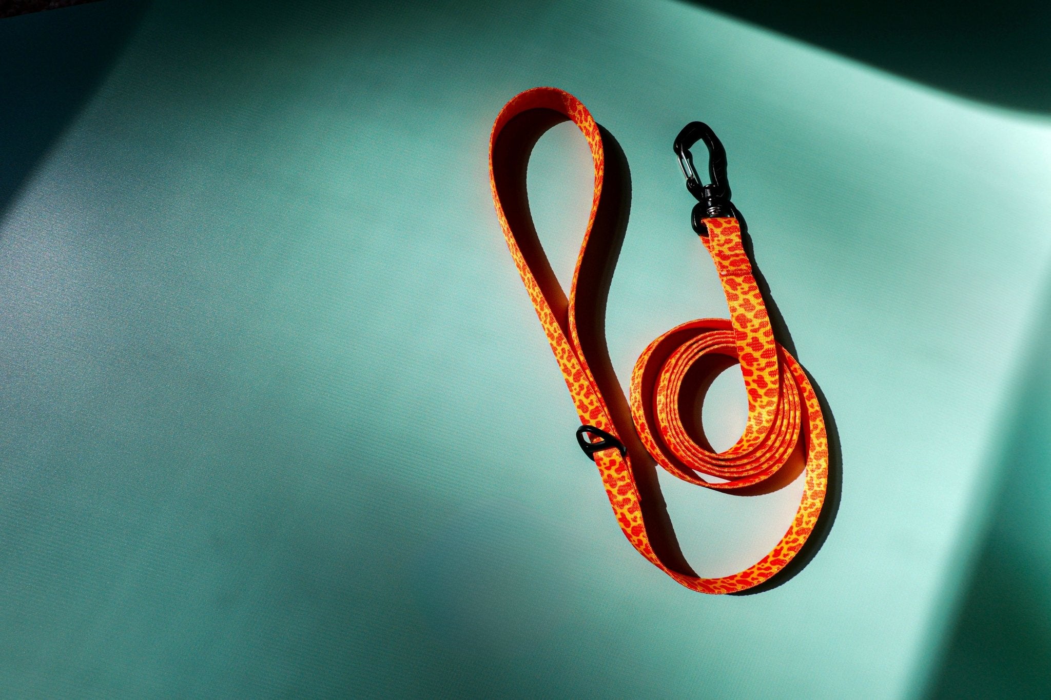 Patterned Leash – Neon Orange - Taiga