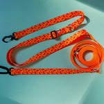 Hands - free Leash – Neon Orange - Taiga