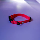 Biothane Collar – Neon Pink - Taiga