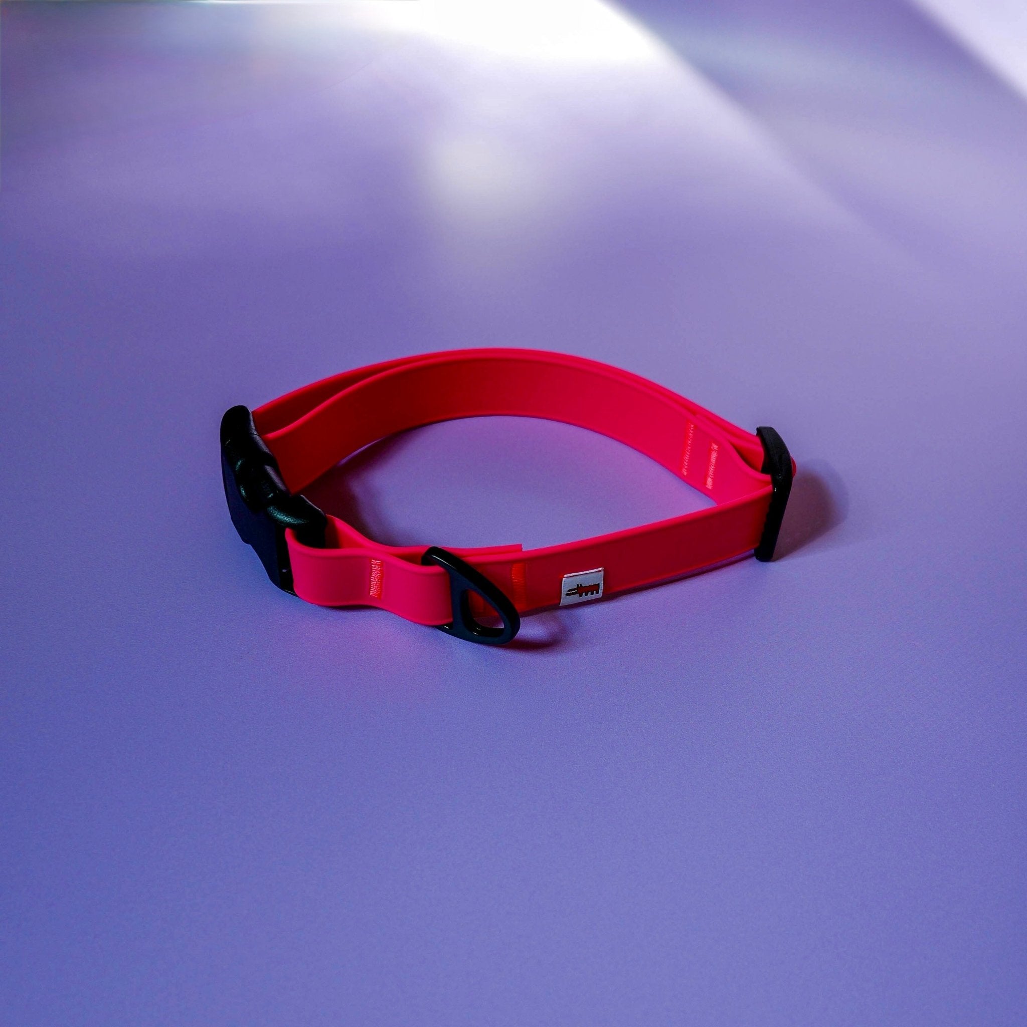 Biothane Collar – Neon Pink - Taiga