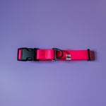 Biothane Collar – Neon Pink - Taiga