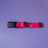 Biothane Collar – Neon Pink - Taiga