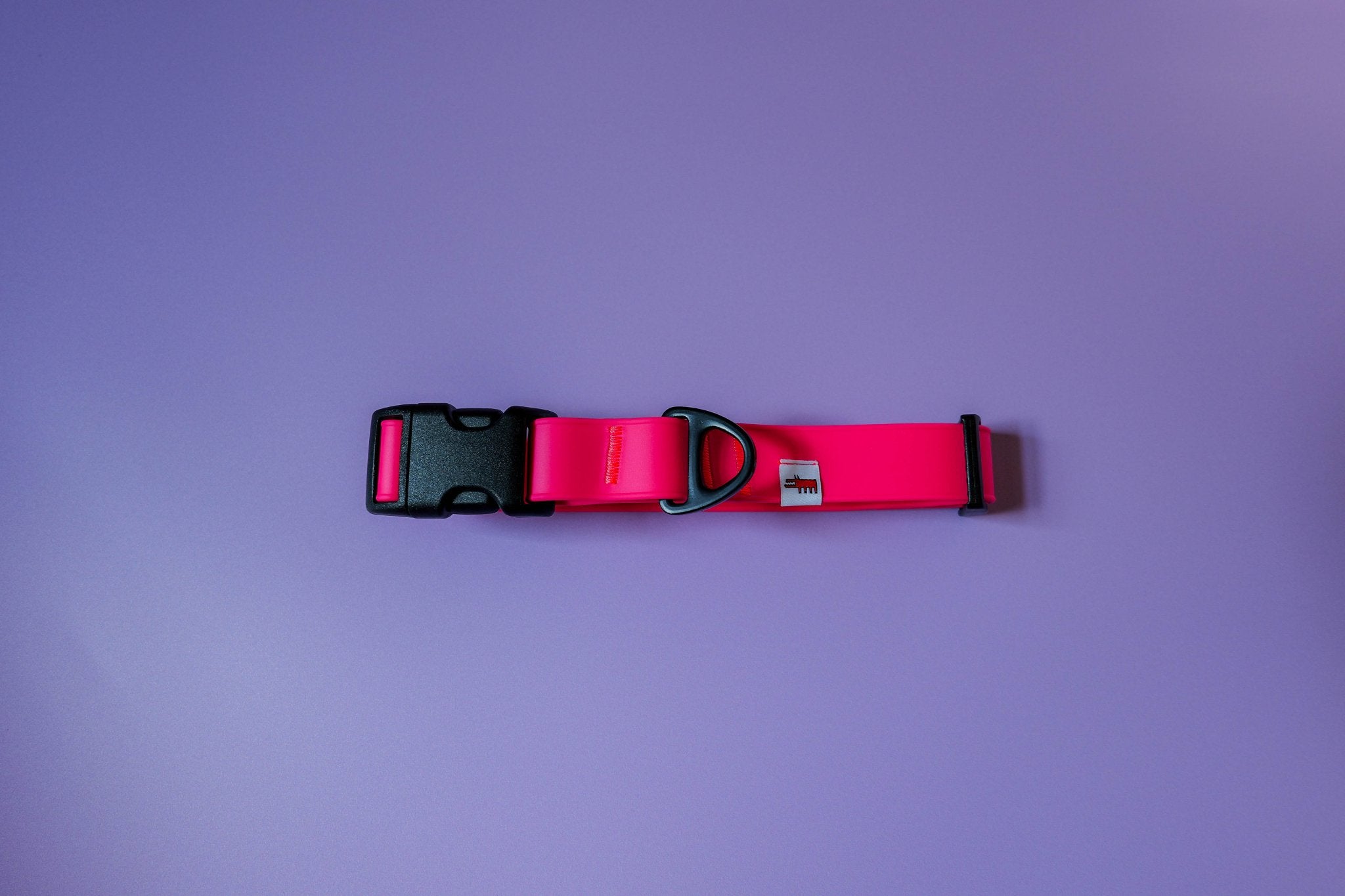 Biothane Collar – Neon Pink - Taiga
