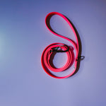 Biothane Leash – Neon Pink - Taiga