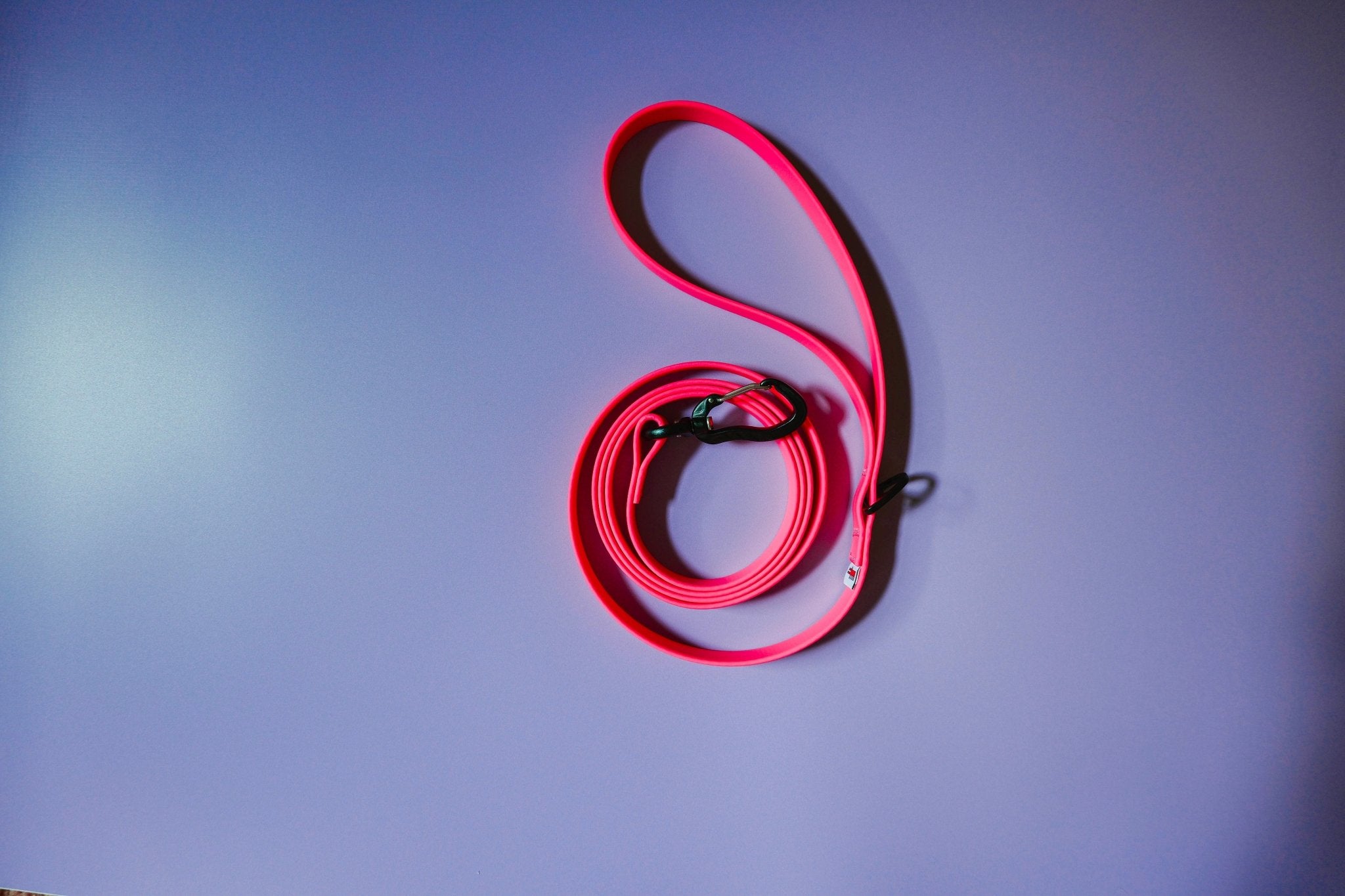 Biothane Leash – Neon Pink - Taiga
