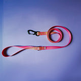 Patterned Leash – Neon Pink - Taiga