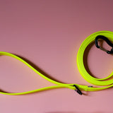 Biothane Leash – Neon Yellow - Taiga