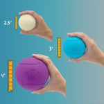 Chew King Fetch Ball Size Reference - Taiga