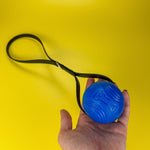 Blue Chuckit Fetch Ball - Taiga