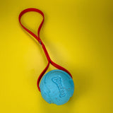 Blue Chuckit Fetch Ball - Taiga