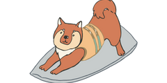 A cartoon Shiba Inu wearing a beige life vest stands playfully on a gray surfboard, appearing ready to surf.