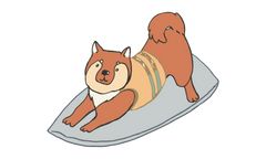 A cartoon Shiba Inu wearing a beige life vest stands playfully on a gray surfboard, appearing ready to surf.