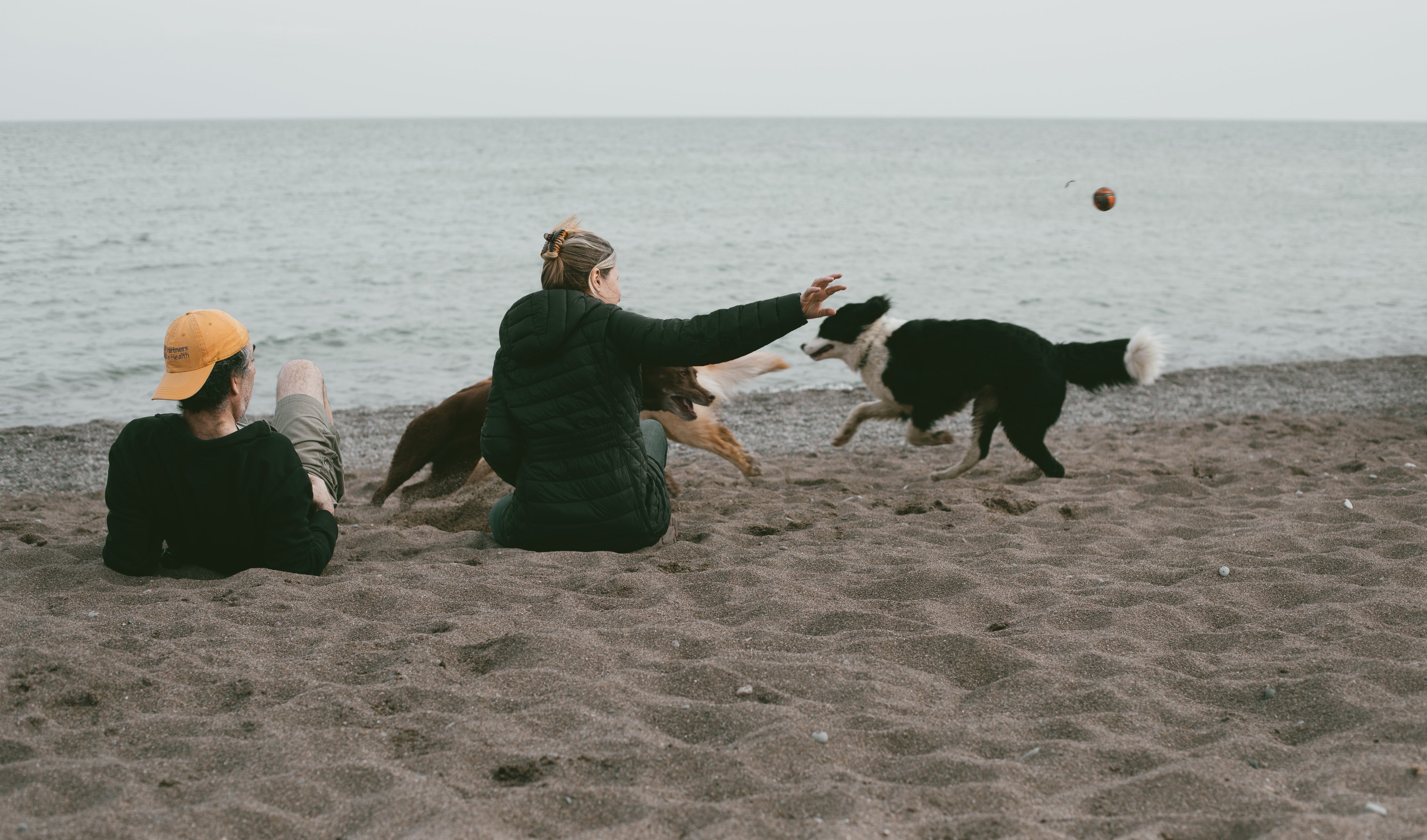 A person sits on the sand while another throws a ball for two dogs to fetch on a beach, with the ocean in the background under an overcast sky.
